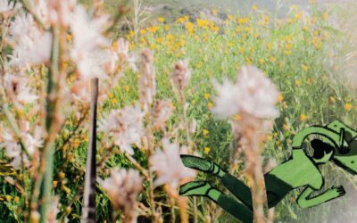 Se déténdre avec la sophrologie